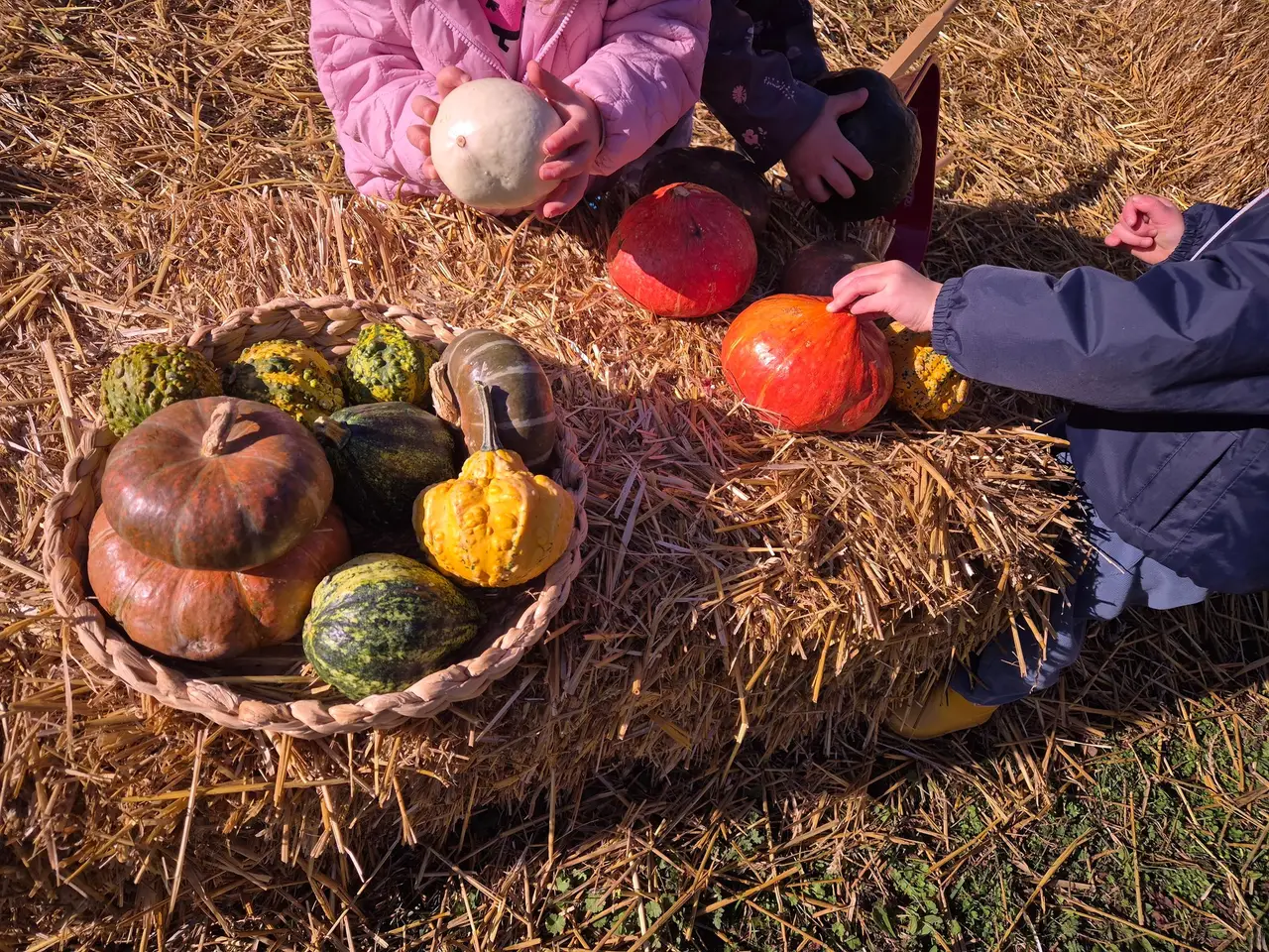 Bambini esplorano zucche colorate in un cesto sulla paglia